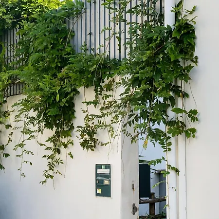 Maison Chic *